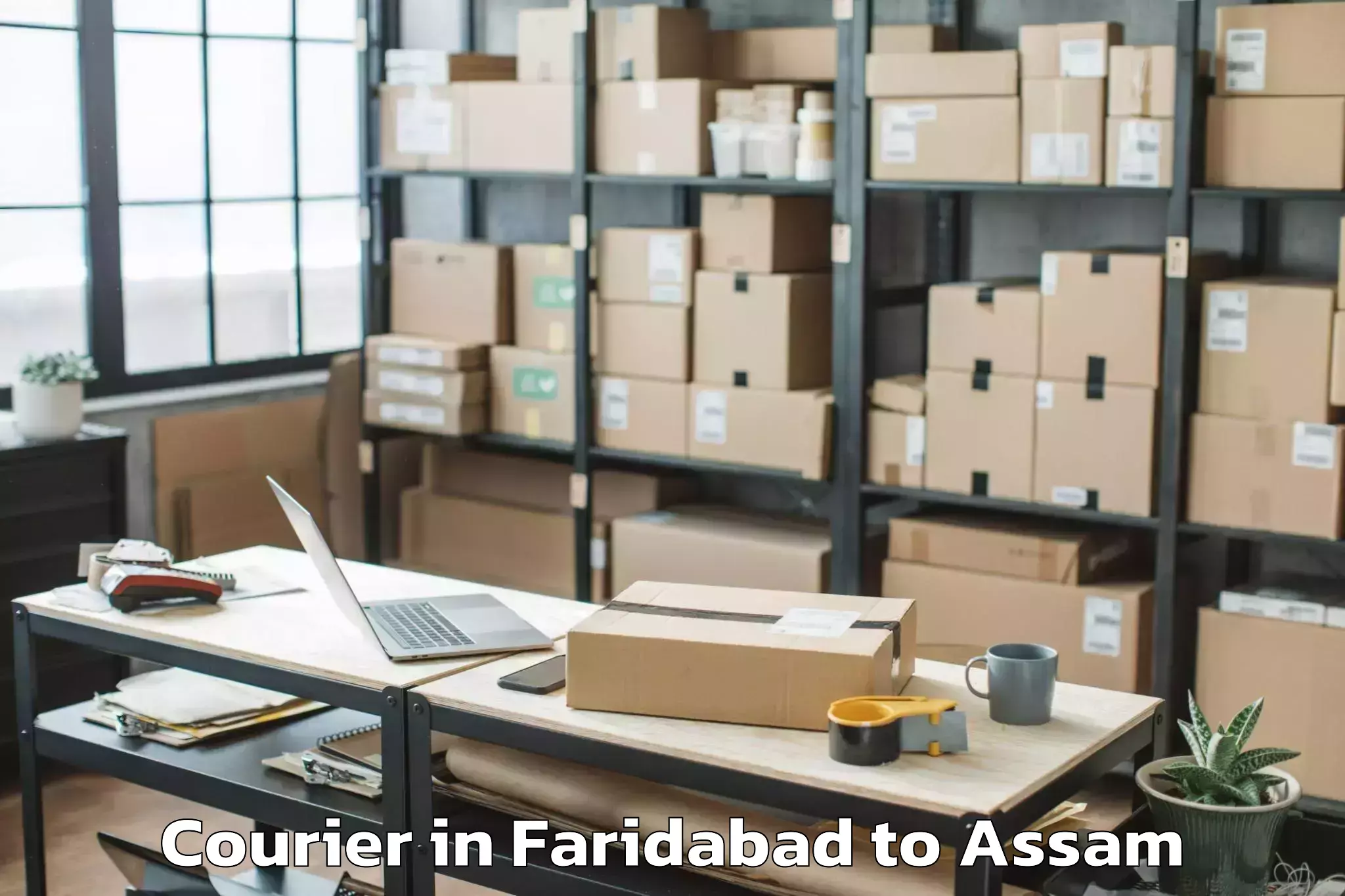 Easy Faridabad to Mayong Courier Booking